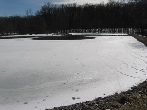 Property photo 47 - McAllister Estate Real Estate & Personal Property Auction